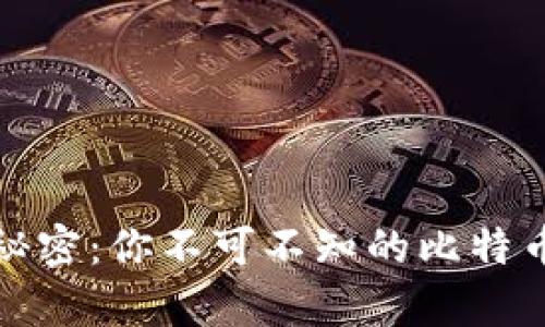 揭开数字财富的秘密：你不可不知的比特币钱包地址排行榜