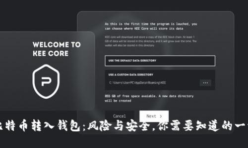 比特币转入钱包：风险与安全，你需要知道的一切