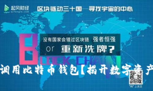 如何安全高效地调用比特币钱包？揭开数字资产管理的神秘面纱