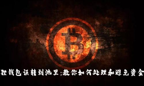 小狐狸钱包误转到池里：教你如何处理和避免资金损失