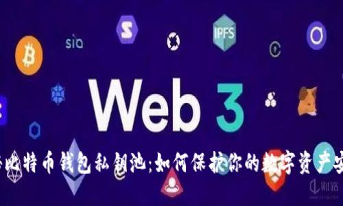 揭秘比特币钱包私钥池：如何保护你的数字资产安全？