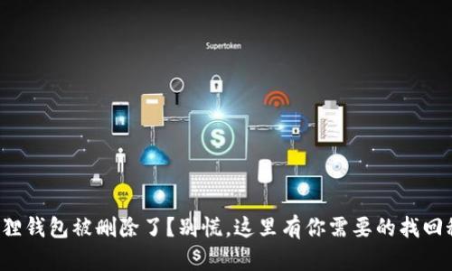 小狐狸钱包被删除了？别慌，这里有你需要的找回秘籍！