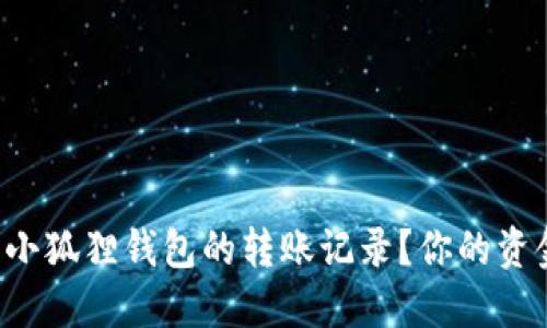 如何轻松查看小狐狸钱包的转账记录？你的资金安全大揭秘！