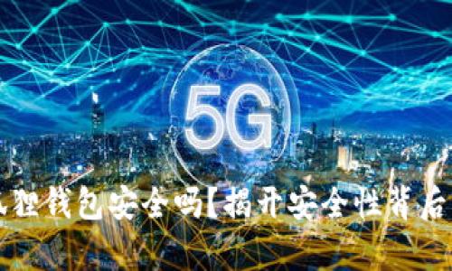 苹果下载小狐狸钱包安全吗？揭开安全性背后的真相与秘密