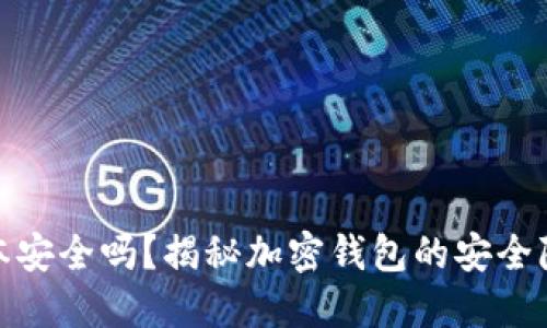小狐狸钱包脚本安全吗？揭秘加密钱包的安全隐患与防范措施