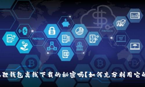 你知道小狐狸钱包离线下载的秘密吗？如何充分利用它的离线功能？