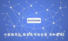小狐狸钱包：轻松收钱的