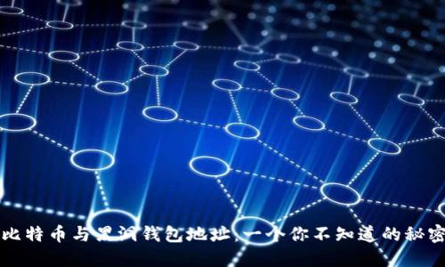 比特币与黑洞钱包地址：一个你不知道的秘密