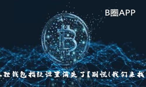 小狐狸钱包指纹设置消失了？别慌！我们来找答案