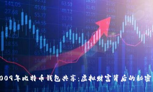 解密2009年比特币钱包共享：虚拟财富背后的秘密与机遇