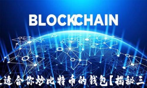 
如何选择最适合你炒比特币的钱包？揭秘三大黄金法则