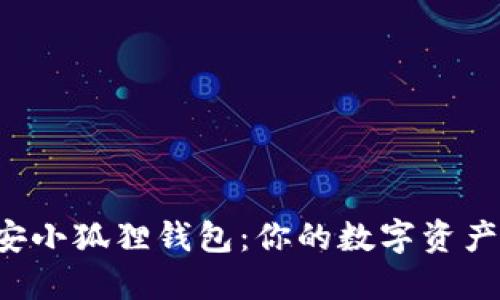 揭秘币安小狐狸钱包：你的数字资产保护神！