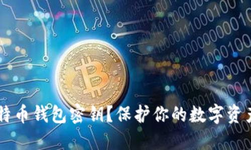 如何安全设置比特币钱包密钥？保护你的数字资产，从这一刻开始！