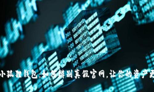 揭秘小狐狸钱包：如何辨别真假官网，让你的资产更安全