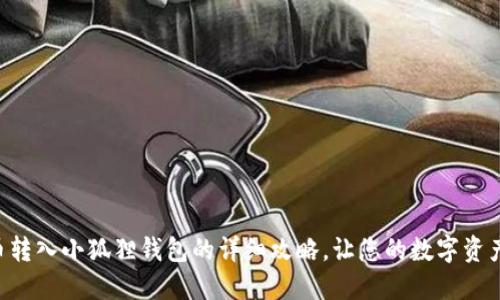 中本聪币转入小狐狸钱包的详细攻略，让您的数字资产更安全！