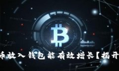 为何将狗狗币放入钱包能