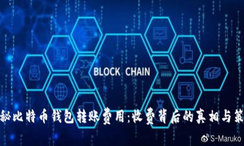 探秘比特币钱包转账费用：收费背后的真相与策略