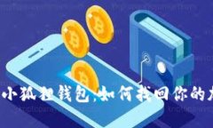 丢失了的小狐狸钱包：如