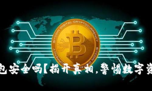 小狐狸钱包安全吗？揭开真相，警惕数字资产的隐患