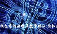 比特币钱包中的比特币数