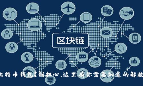 丢失比特币钱包？别担心，这里有你需要知道的解救方案！