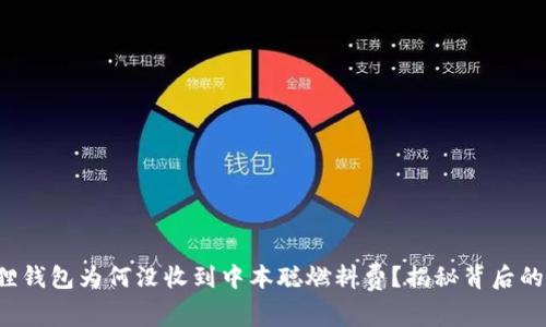 小狐狸钱包为何没收到中本聪燃料费？揭秘背后的真相！