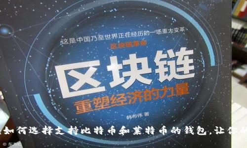 从传统到数字：如何选择支持比特币和莱特币的钱包，让你的资产安全无忧