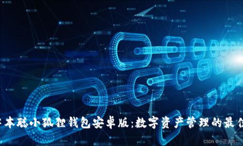 揭秘中本聪小狐狸钱包安卓版：数字资产管理的最佳伙伴！