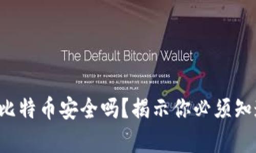 打点钱包比特币安全吗？揭示你必须知道的真相！