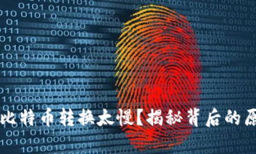 为什么你觉得比特币转换太慢？揭秘背后的原因与解决方案