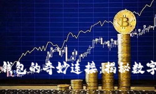 中本聪与小狐狸钱包的奇妙连接：揭秘数字货币背后的故事