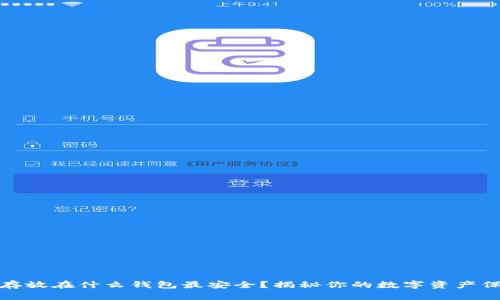 比特币存放在什么钱包最安全？揭秘你的数字资产保护之道