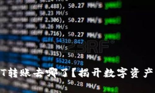 冷钱包中的USDT转账去哪了？揭开数字资产神秘消失的真相