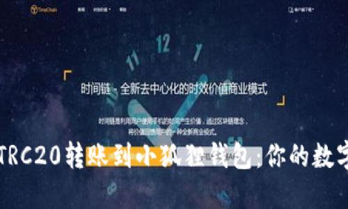轻松实现波场TRC20转账到小狐狸钱包：你的数字资产保护秘笈