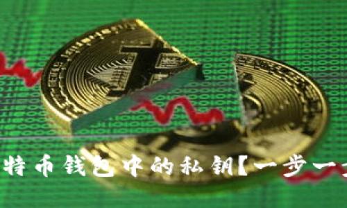 如何查看比特币钱包中的私钥？一步一步教你搞定！