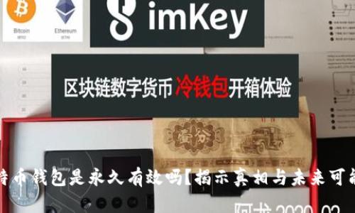比特币钱包是永久有效吗？揭示真相与未来可能性