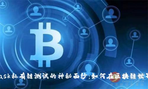 揭开MetaMask私有链测试的神秘面纱：如何在区块链世界中自由探索