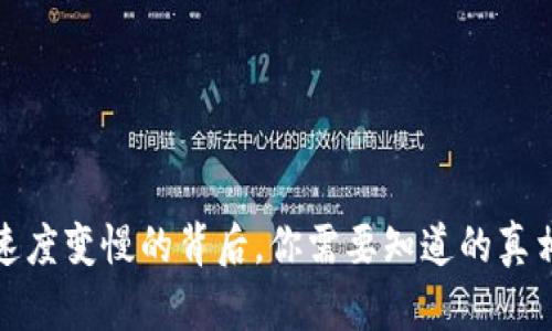 小狐狸钱包速度变慢的背后，你需要知道的真相与解决方案