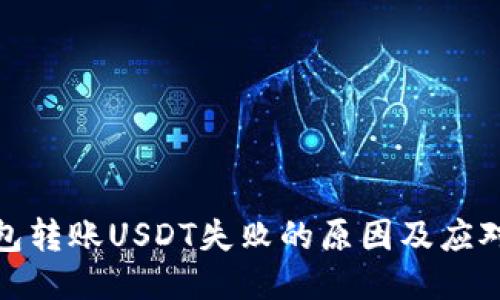 冷钱包转账USDT失败的原因及应对策略