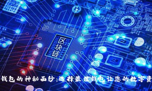 揭开比特币钱包的神秘面纱：选择最佳钱包让您的数字资产安全无忧