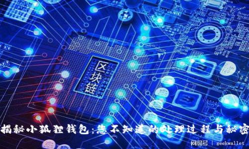 揭秘小狐狸钱包：您不知道的处理过程与秘密
