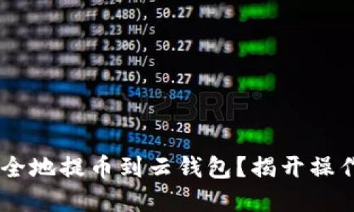 如何将USDT安全地提币到云钱包？揭开操作与安全的秘密