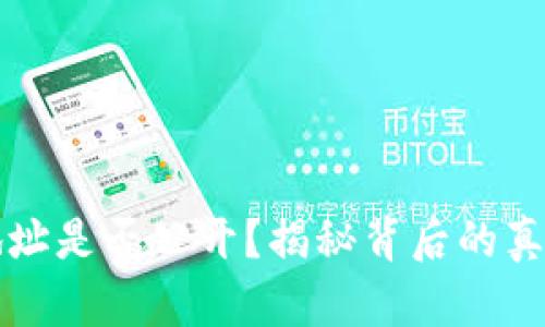 比特币钱包地址是否公开？揭秘背后的真相与安全隐患