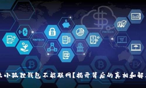 为什么小狐狸钱包不能联网？揭开背后的真相和解决方案