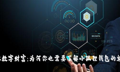 驾驭数字财富：为何你也需要了解小狐狸钱包的魅力？