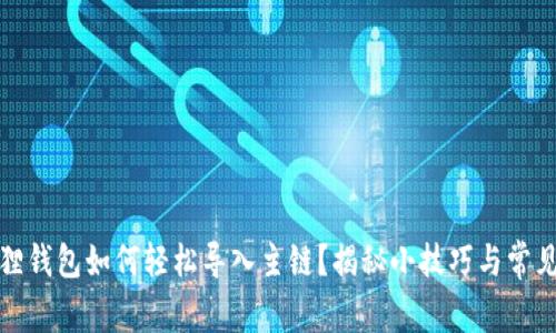 小狐狸钱包如何轻松导入主链？揭秘小技巧与常见问题