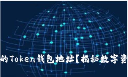 : 如何找到你的Token钱包地址？揭秘数字资产存储的秘密