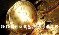 如何将SHIB提取到钱包？一