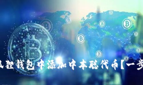 如何轻松在小狐狸钱包中添加中本聪代币？一步一步教你搞定！