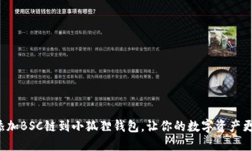 轻松添加BSC链到小狐狸钱包，让你的数字资产更自由！